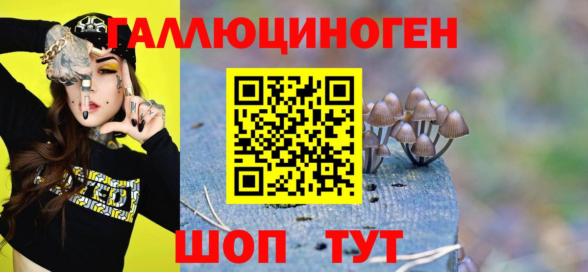 Псилоцибиновые грибы мухоморы Камень-на-Оби