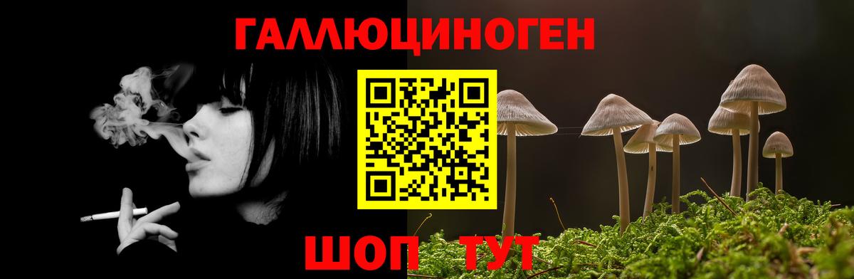 Галлюциногенные грибы Cubensis  Вход с VPN  Камень-на-Оби  Галлюциногенные грибы Psilocybe 